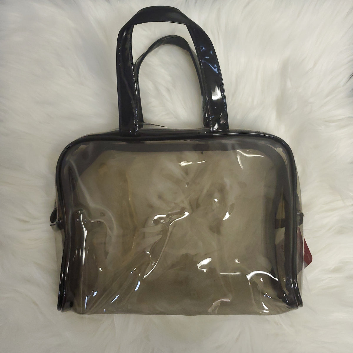 Tinted Cosmetic Bag with Handles
